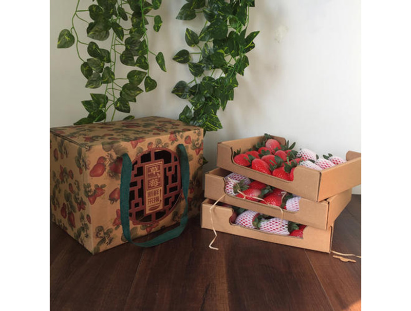 水(shui)果包裝(zhuāng)盒